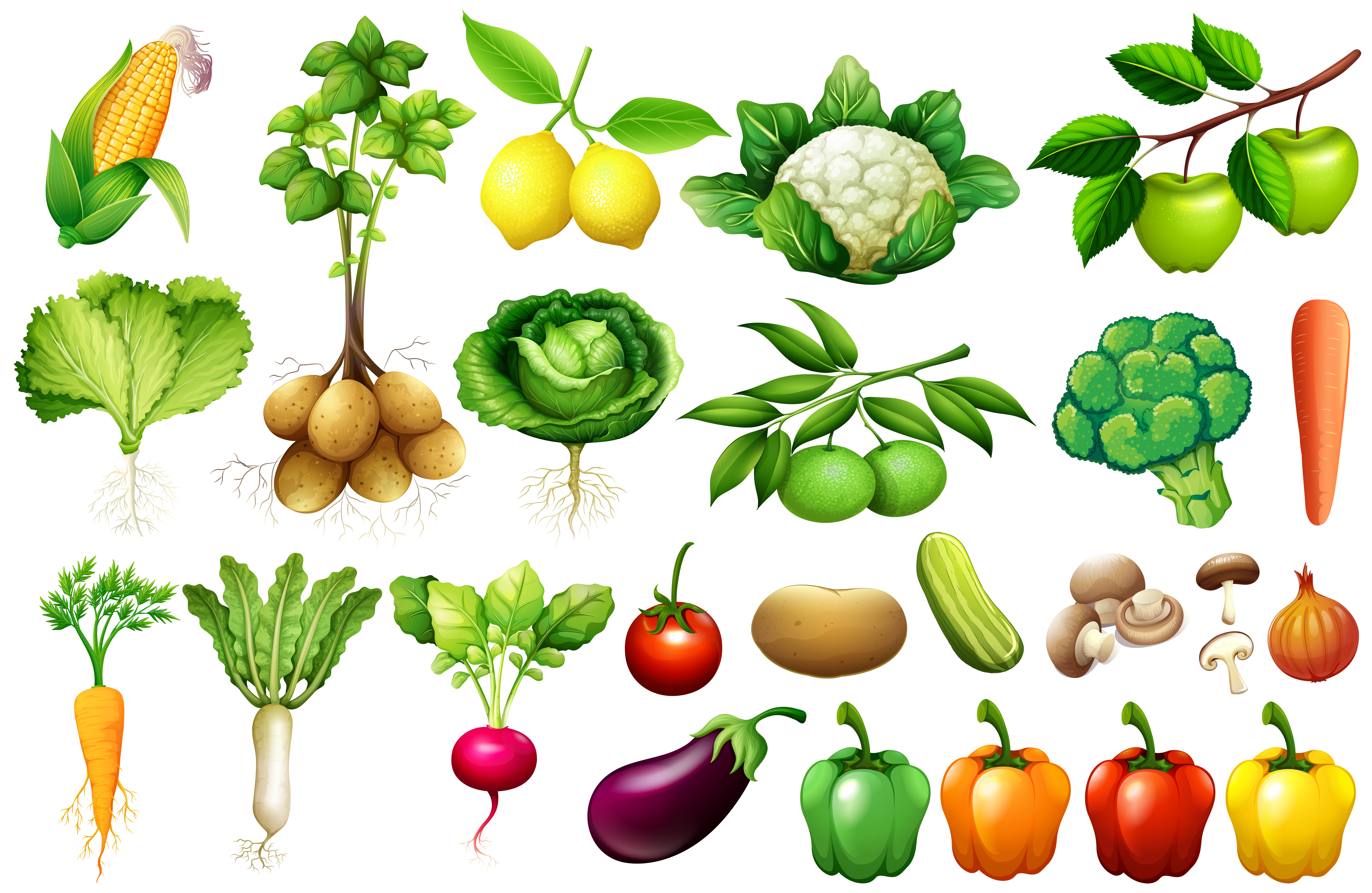 Other Crops