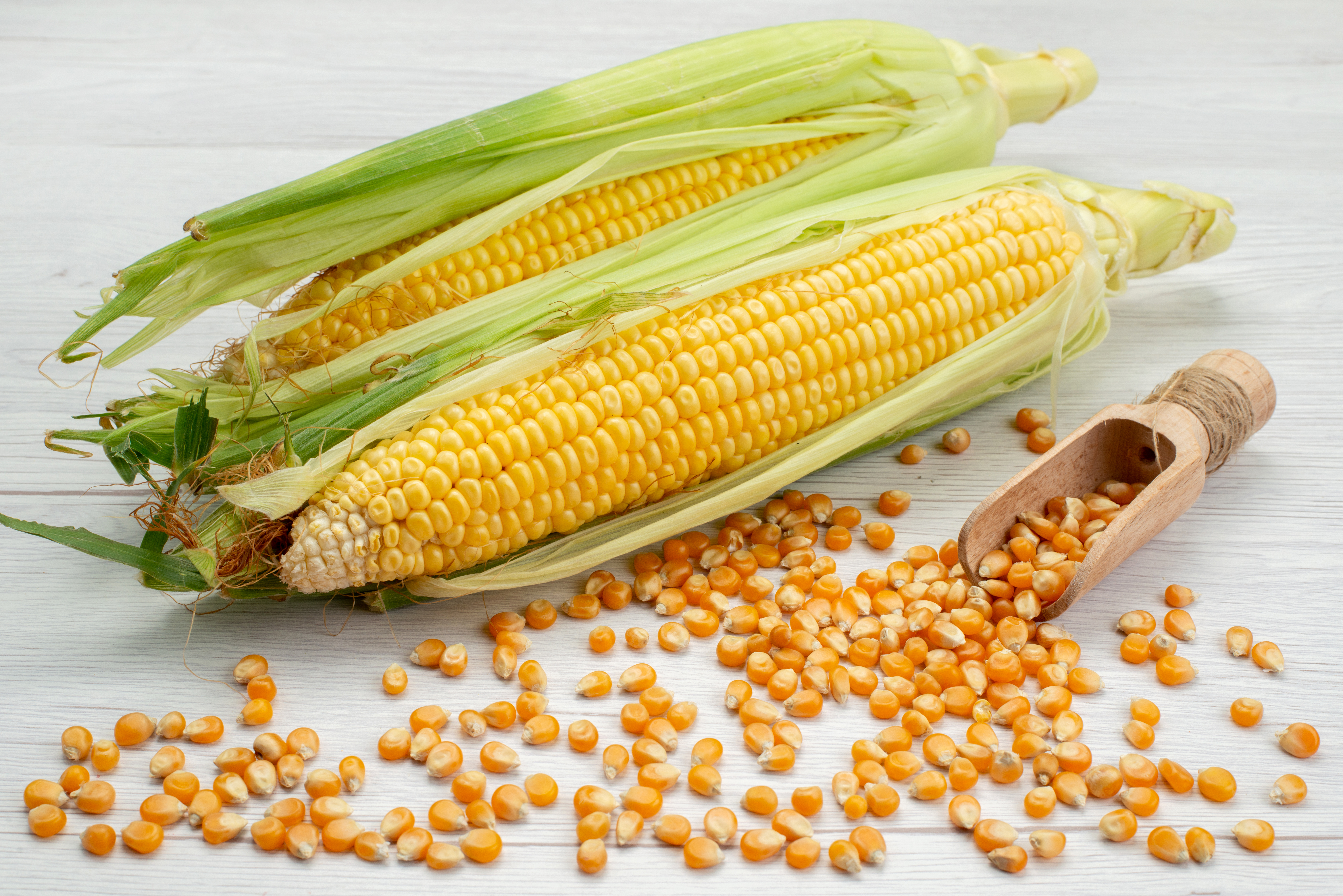Maize